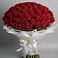 Букет 101 Красная роза Блэк Мэджик в Липках