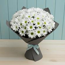 Букет цветов из:  Хризантемы #REPLACE_PRED# Липках