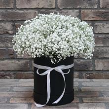 Цветочная композиция из Гипсофила в шляпной коробке #REPLACE_PRED# Липках