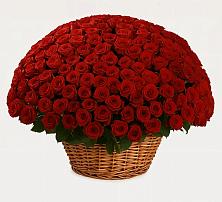 Премиум букет из: Розы в Липках